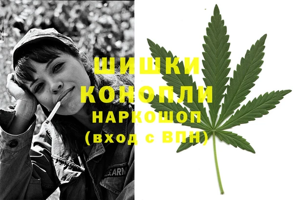 дмт Каменка