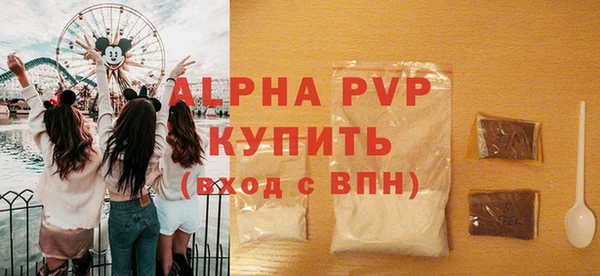 дмт Каменка
