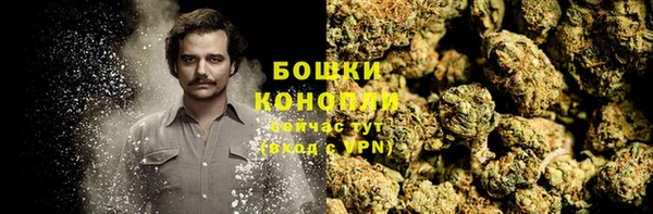 дмт Каменка