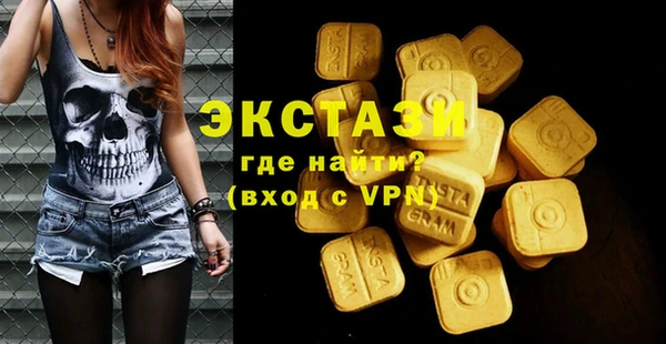 дмт Каменка