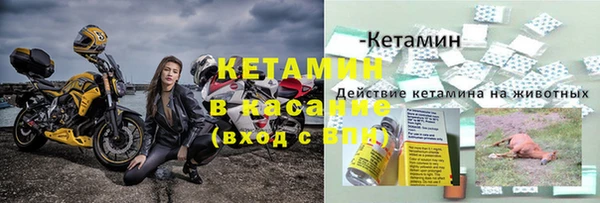 дмт Каменка