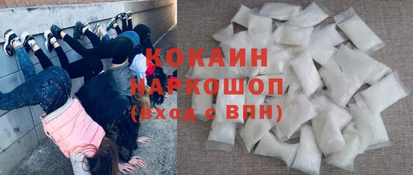 дмт Каменка