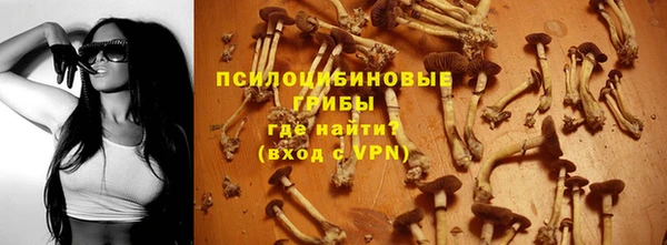 дмт Каменка