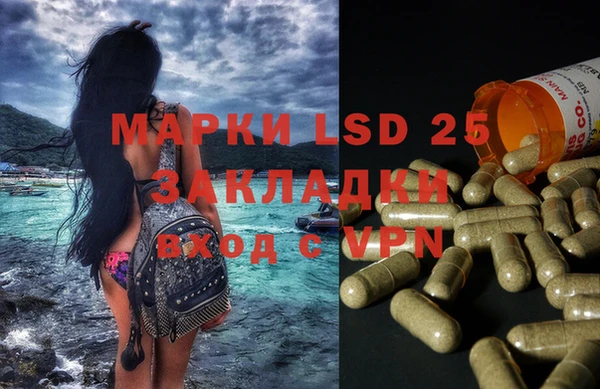 дмт Каменка