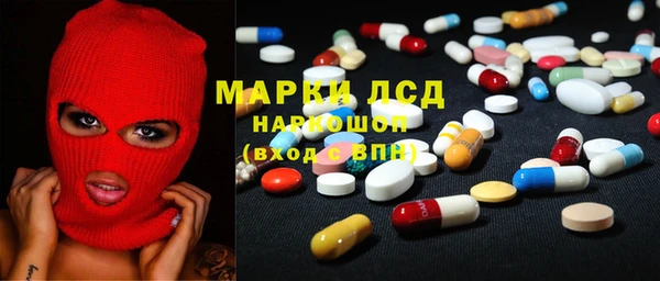 дмт Каменка