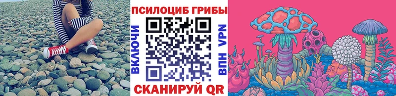 Купить где  Кимовск  Галлюциногенные грибы Psilocybine cubensis 